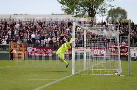 Halbfinale BFC Dynamo - VSG Altglienicke
