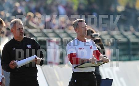 11.Spieltag BFC Dynamo - FSV Zwickau
