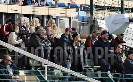 11.Spieltag BFC Dynamo - VfB Auerbach,