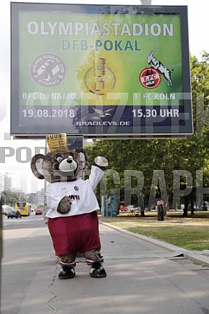 Werbung mit Teddy für die 1.Runde im DFB-Pokal