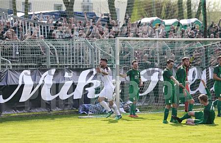 29.Spieltag BSG Chemie Leipzig - BFC Dynamo