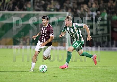 9.Spieltag BSG Chemie Leipzig - BFC Dynamo 9.Spieltag BSG Chemie Leipzig - BFC Dynamo