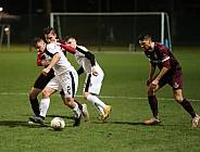 Testspiel BFC Dynamo - SC Charlottenburg