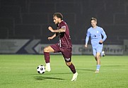 14.Spieltag BFC Dynamo - FC Viktoria 1889 Berlin