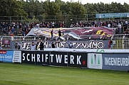 8.Spieltag 1.FC Lokomotive Leipzig - BFC Dynamo
