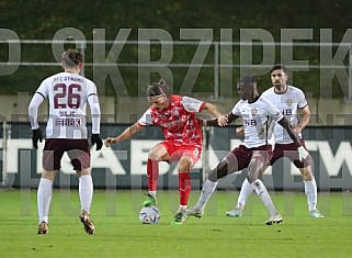 18.Spieltag FSV Zwickau - BFC Dynamo,