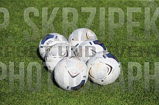 Training vom 08.09.2023 BFC Dynamo
