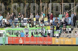 31.Spieltag FSV Union Fürstenwalde - BFC Dynamo ,