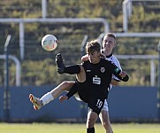 8.Spieltag BFC Dynamo U19 - FC Energie Cottbus U19 ,