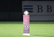 19.Spieltag BFC Dynamo - VSG Altglienicke,