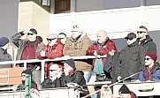 21.Spieltag BFC Dynamo - VfB Germania Halberstadt