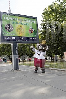 Werbung mit Teddy für die 1.Runde im DFB-Pokal