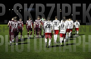 24.Spieltag BFC Dynamo - ZFC Meuselwitz,