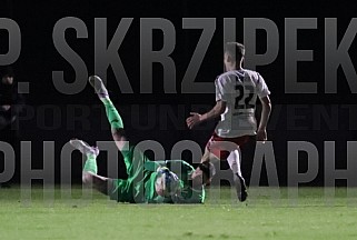 24.Spieltag BFC Dynamo - ZFC Meuselwitz,