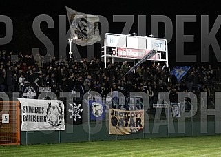 10.Spieltag BFC Dynamo - SV Babelsberg 03